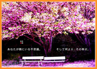画像の説明 画像の説明