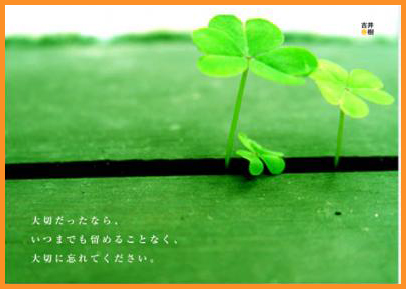 画像の説明 画像の説明