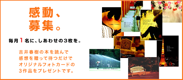 画像の説明